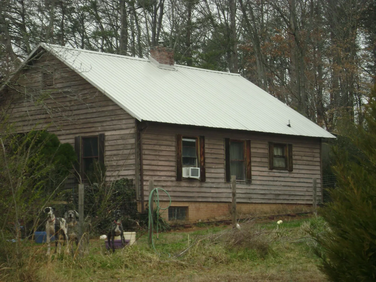 White metal roof on an old wood sided farmhouse, from a Metal Roof Installation job in Truro